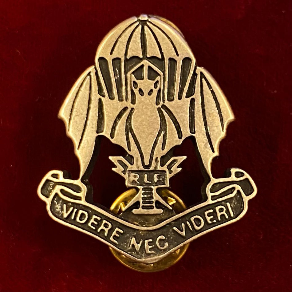 Distintivo "185º Reggimento paracadutisti Ricognizione ed Acquisizione Obiettivi Folgore" (RAO)