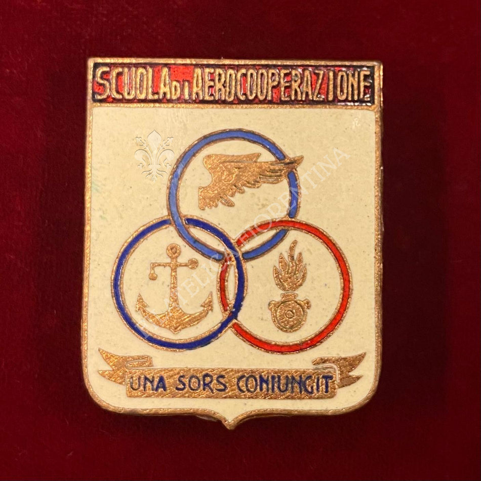 Distintivo "Scuola di Aerocooperazione" - Aeronautica Militare