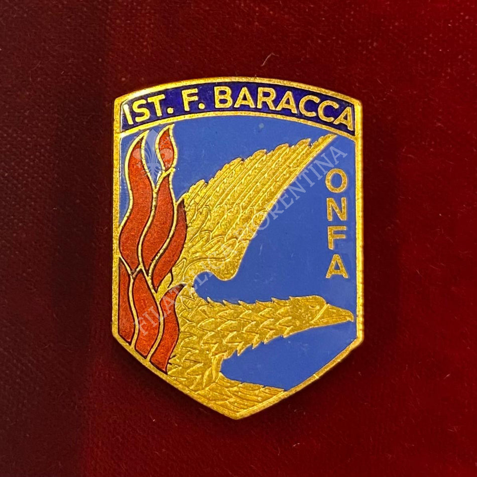 Distintivo "Istituto Francesco Baracca - ONFA" - Aeronautica Militare