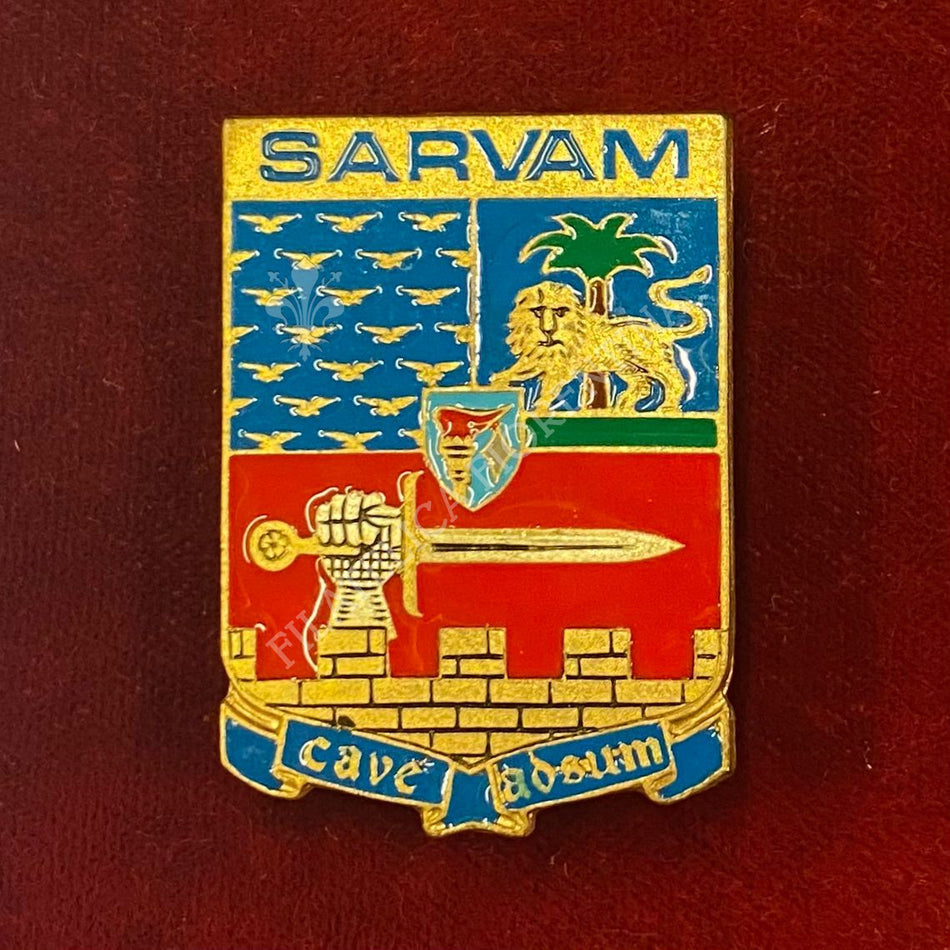 Distintivo "Scuola Addestramento Reclute e Vigilanza dell'Aeronautica Militare (SARVAM)"