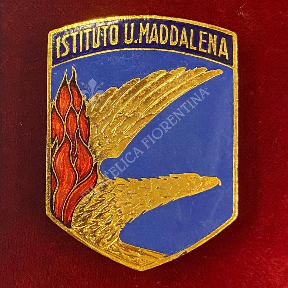 Distintivo "Istituto Umberto Maddalena" - Aeronautica Militare