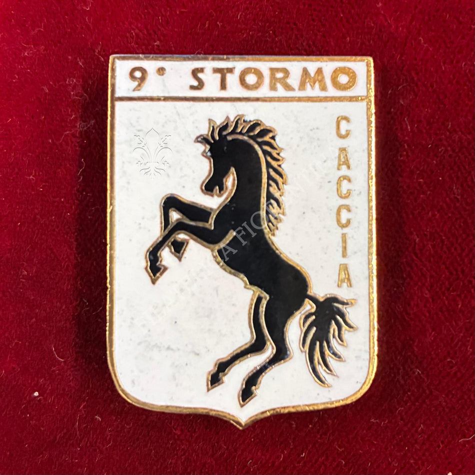 Distintivo del 9° Stormo