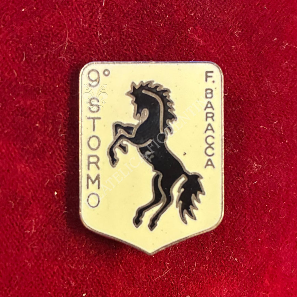 Distintivo in metallo del 9° Stormo