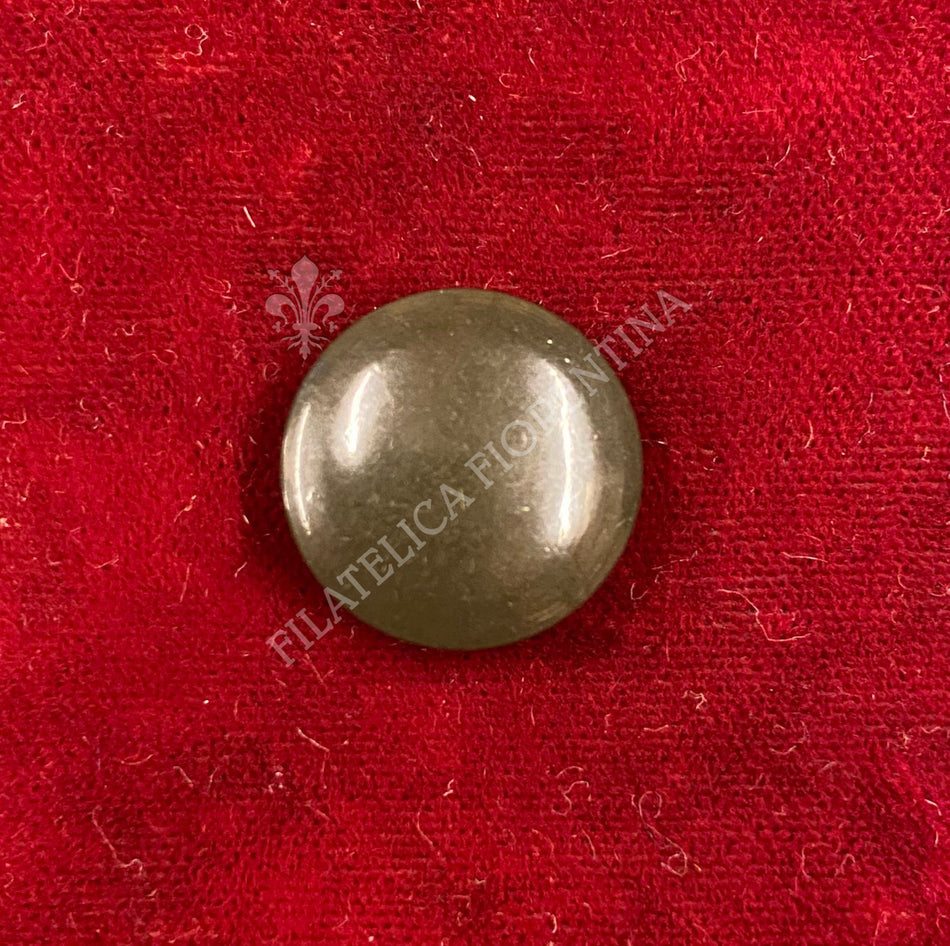 Bottone grigioverde - frutto - Regio Esercito - diametro 15 mm