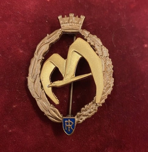 Distintivo di Volo Bellico Specializzazione " TRASPOSRTO " - Grado ORO