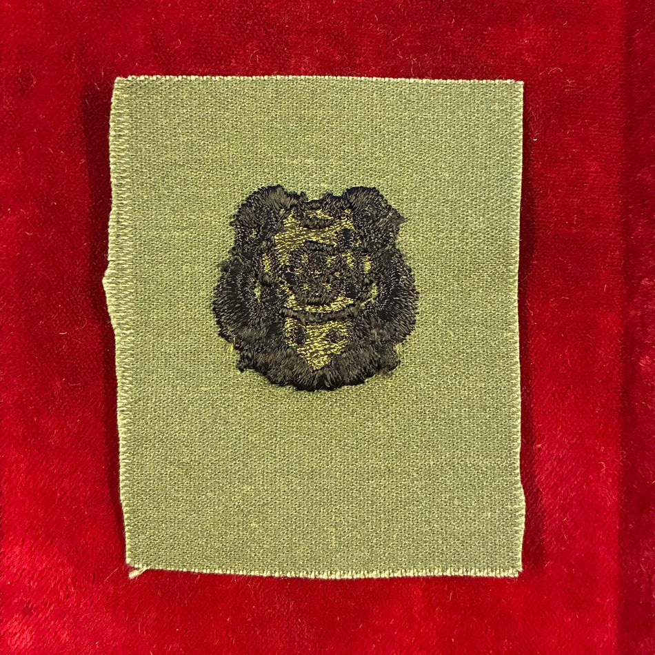 Stati Uniti d'America - US Navy & Army First Class Diver Badge Insignia OD Subdued Fatigue Patch in stoffa nero su verde