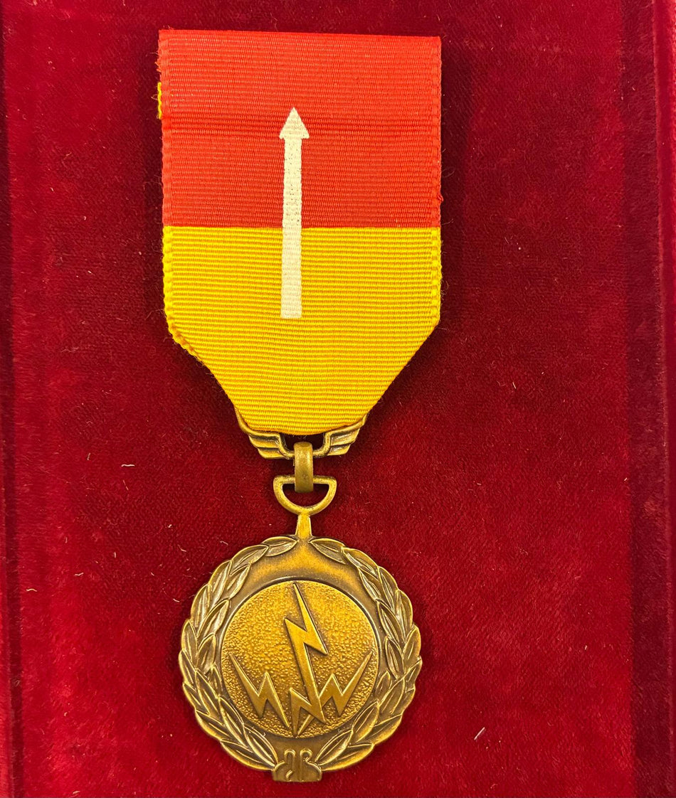 Medaglia di spedizione settentrionale dell'aeronautica del Vietnam del Sud