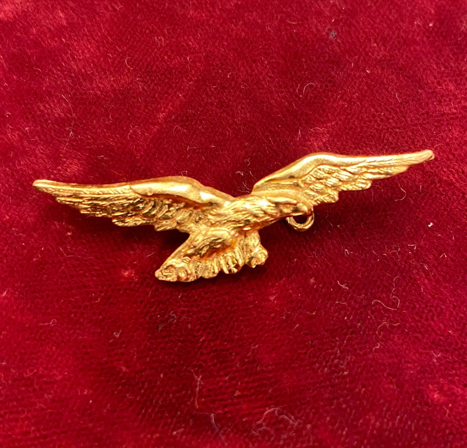 Repubblica Italiana - Brevetto da pilota civile da camicia - modello piccolo