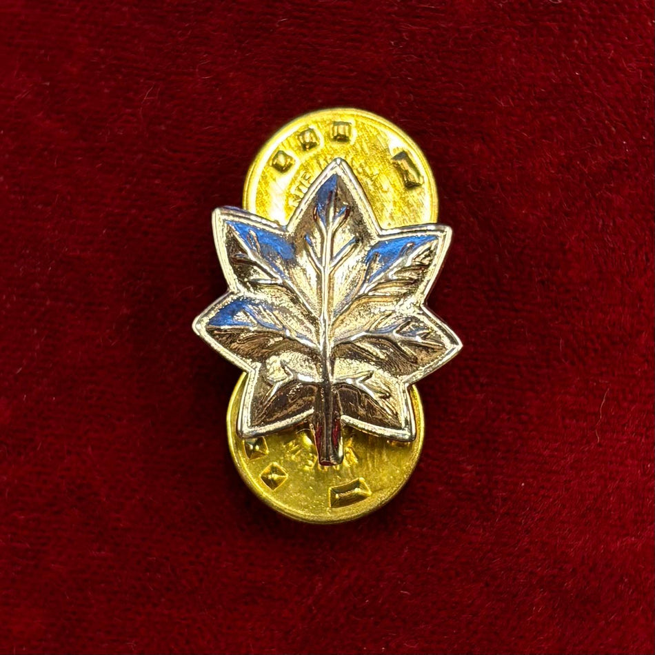 U.S. Marines - Grado "Lieutenant Colonel" (Tenente Colonnello)