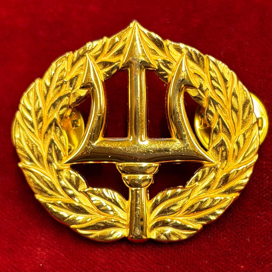 U.S. Navy - Brevetto "Command Ashore / Project Manager"