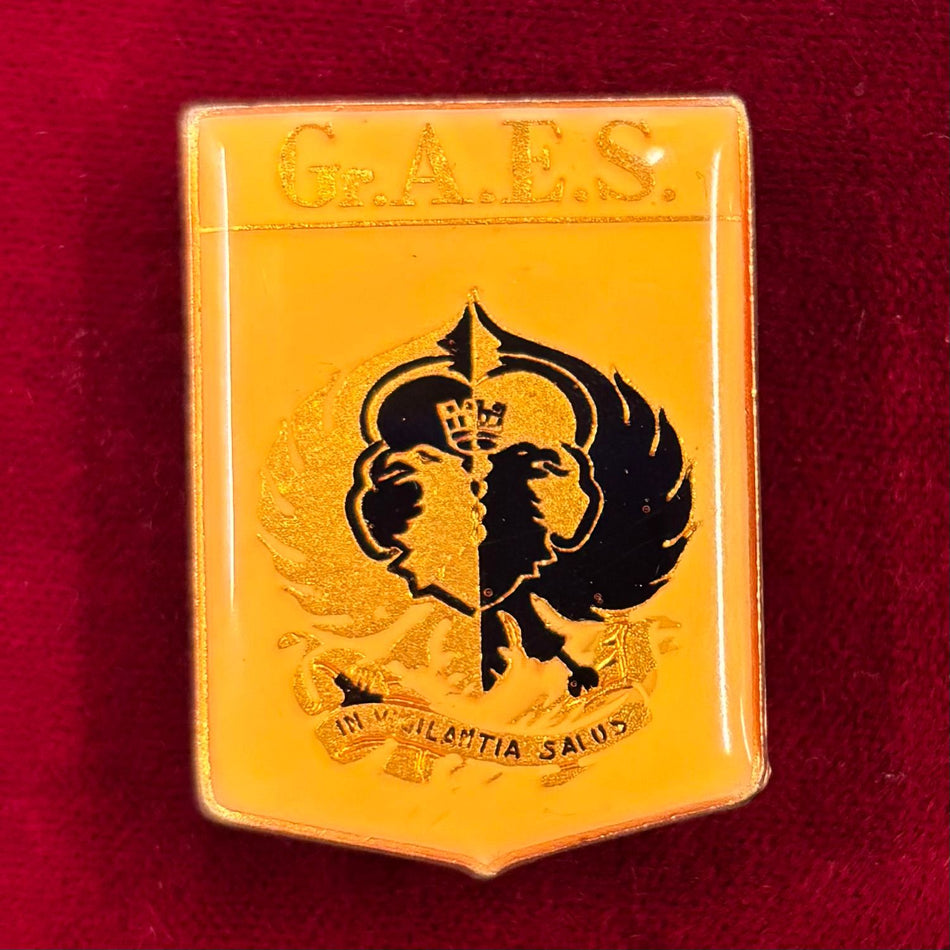 Distintivo "Gruppo Analisi Elaborazioni Speciali (Gr. A.E.S.)" - Aeronautica Militare