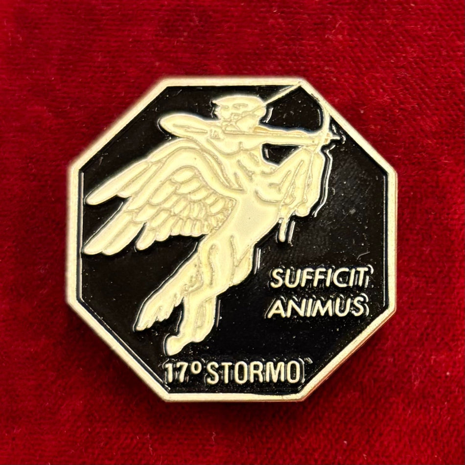 Distintivo "17° Stormo" - Aeronautica Militare