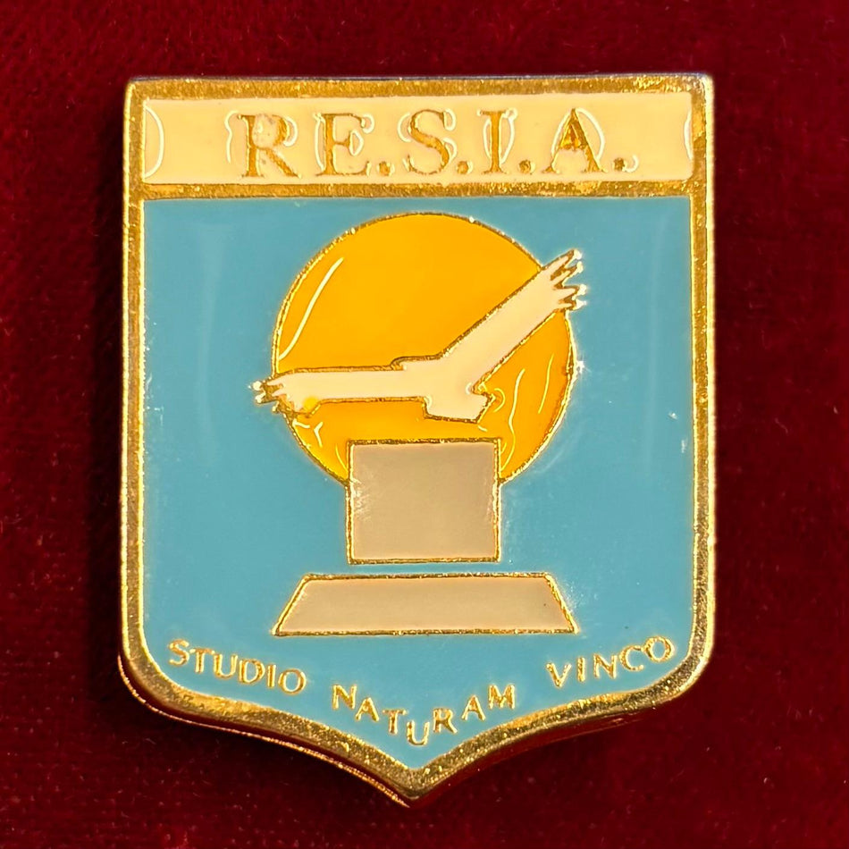 Distintivo "ReSIA (Reparto Sistemi Informativi Automatizzati)" - Aereonautica Militare