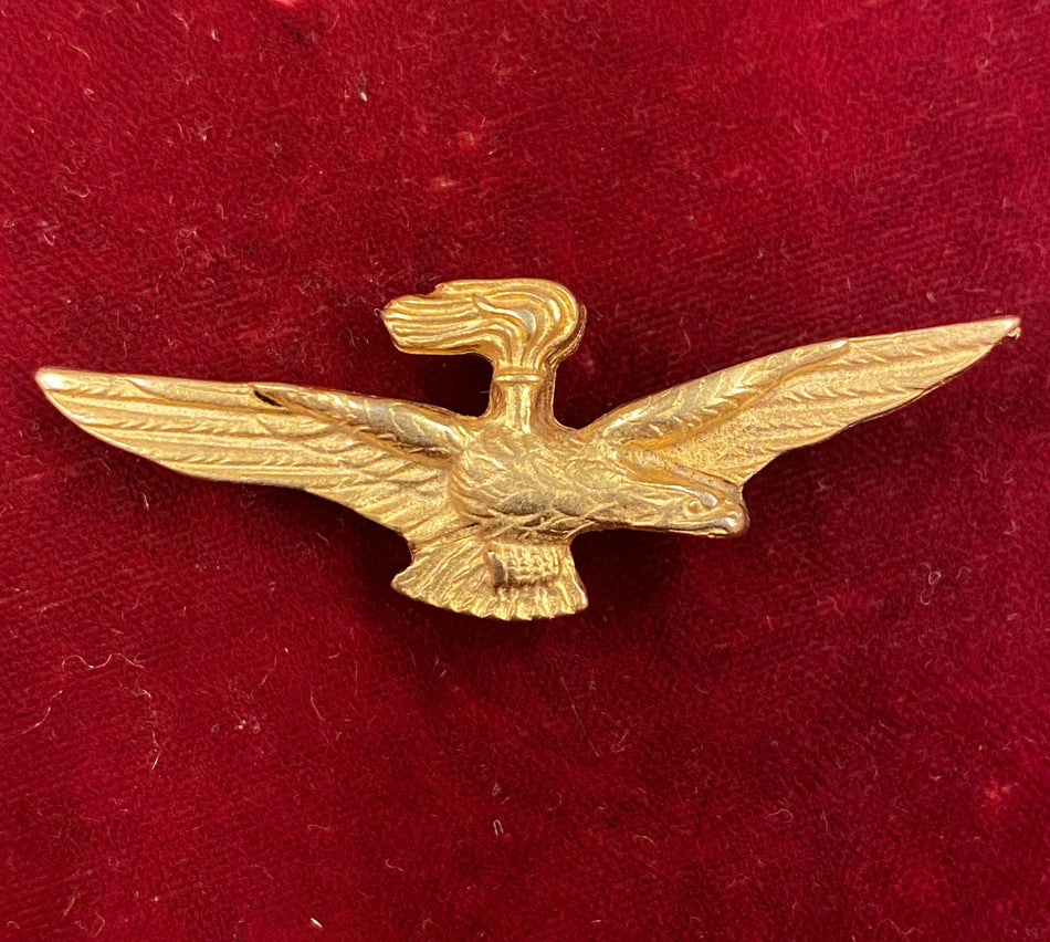 Repubblica Italiana - Brevetto da Osservatore - Aeronautica Militare