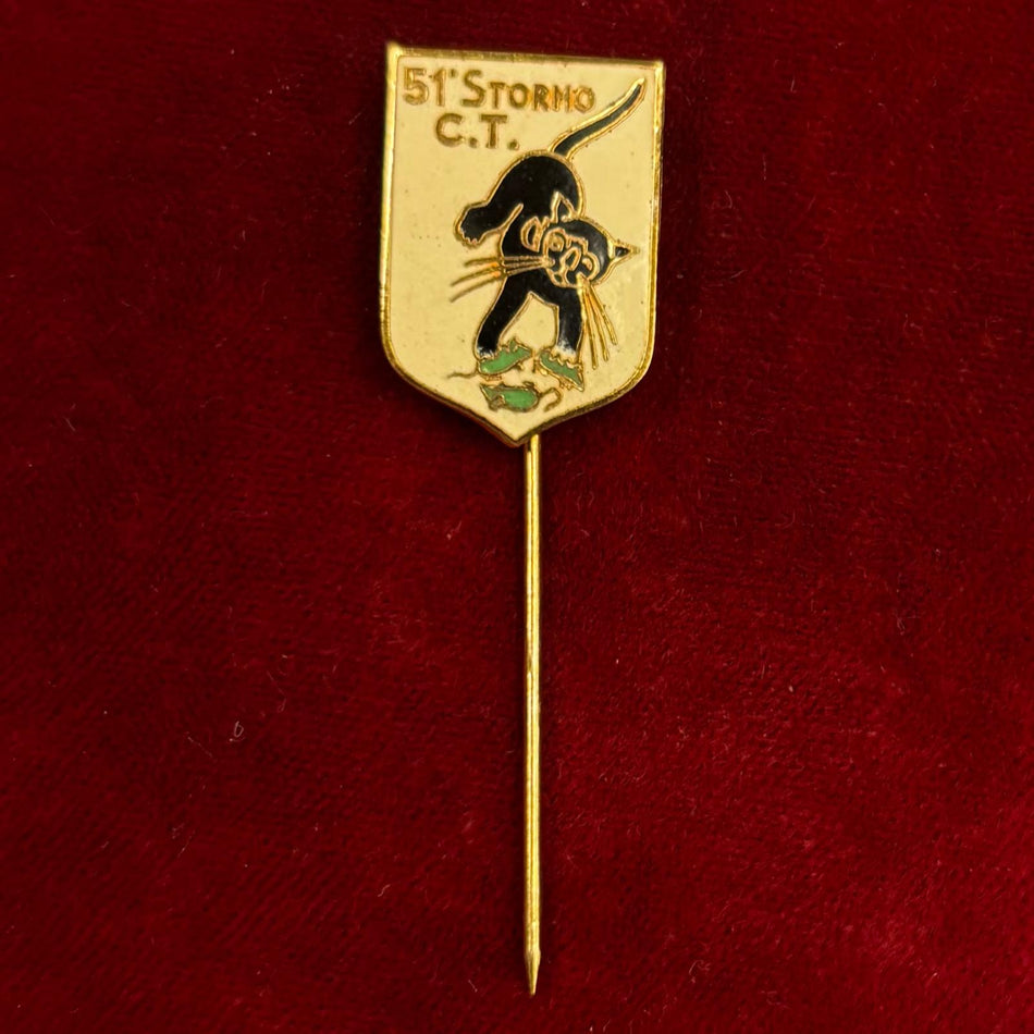 Spilla "51° Stormo C.T." - Aeronautica Militare