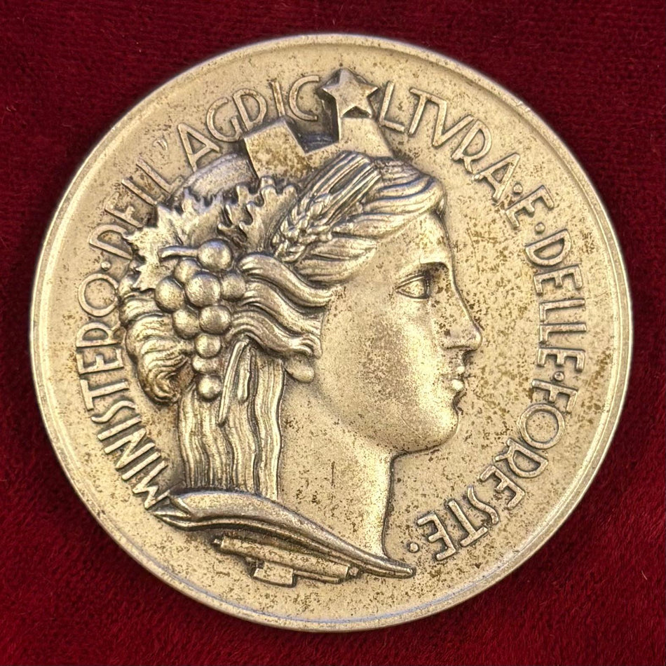 Medaglia commemorativa in argento "Ministro dell'Agricoltura e delle Foreste - Concorso Nazionale Uve da Tavola - A. XII 1934"