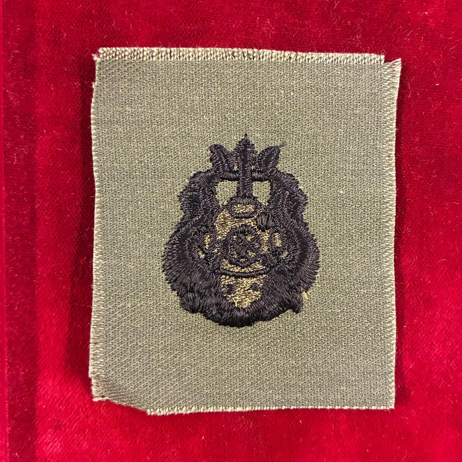 Distintivo Master Diver Badge