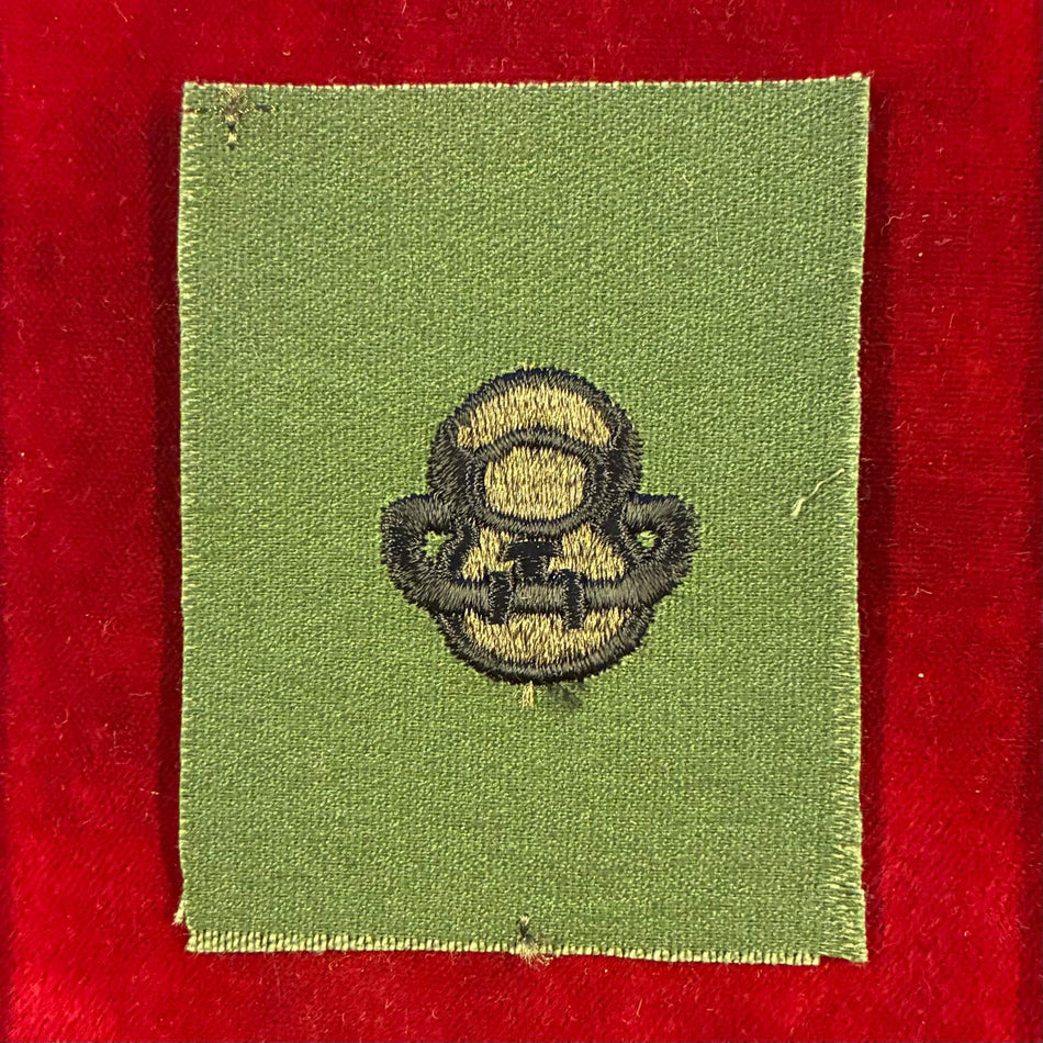 Stati Uniti d'America - Distintivo da sommozzatore Diving badges