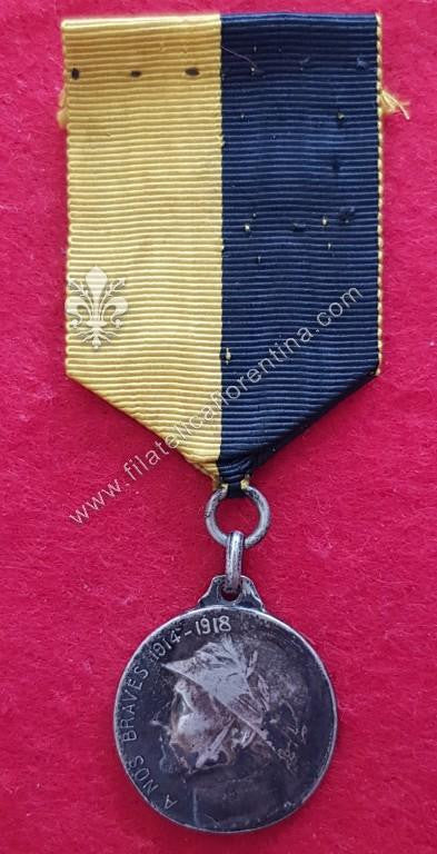 La ville de Namur reconnaissante - A nos braves 1914 - 1918