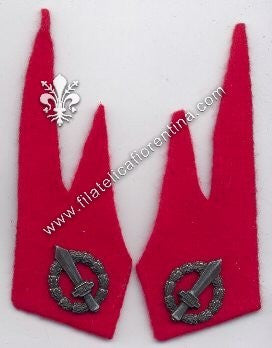 Mostrine Reparti Fanteria della RSI