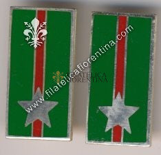Mostrine in metallo del 28° Reggimento Pavia - Dim. mm 33x16