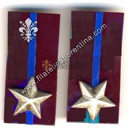 Mostrine in celluloide del 83°e 84°  Reggimento Venezia - Dim. mm 39x18