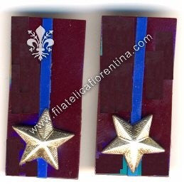 Mostrine in celluloide del 83°e 84°  Reggimento Venezia - Dim. mm 39x18