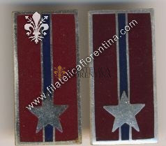 Mostrine in metallo del 83°e 84° Rgt. Venezia - Dim. mm 33x16