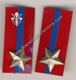 Mostrine in celluloide del ?° Reggimento ? - Dim. mm 39x18