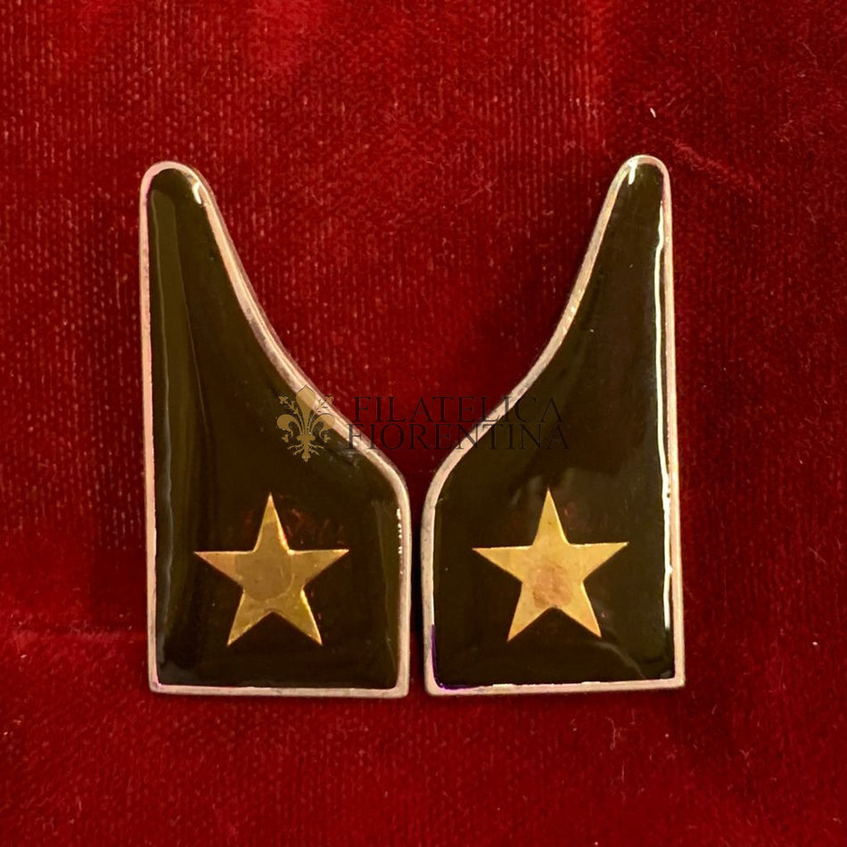 Mostrine Corpo Sanitario in metallo vetrificato - Dim. 33x16 mm