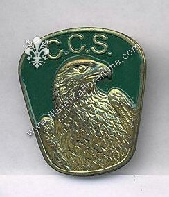 Compagnia Comando e Servizi. Non marcato.