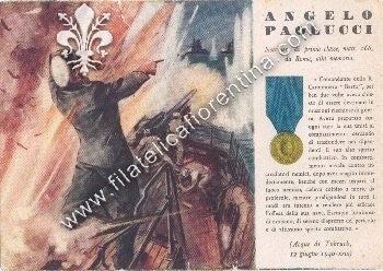 Nocchiere di prima classe, ANGELO PAOLUCCI - Viaggiata - (leggero difetto)