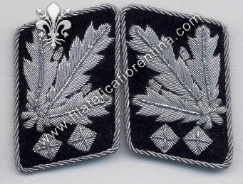 Mostrine da Ufficiale SS - Grado Obergruppenführer (1942/1945)