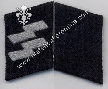 Mostrine reparti SS in panno - Grado Schutze