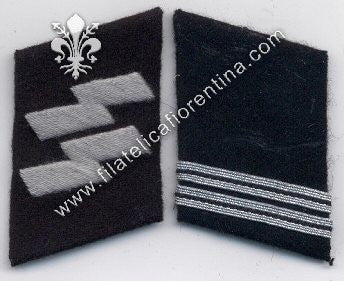 Mostrine reparti SS in panno - Grado Rottenfuhrer