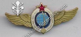 Brevetto da Pilota commerciale (?)