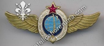 Brevetto da Pilota commerciale (?) Master