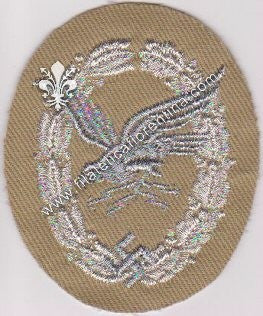 Brevetto da Radiotelegrafista _ Ufficiale