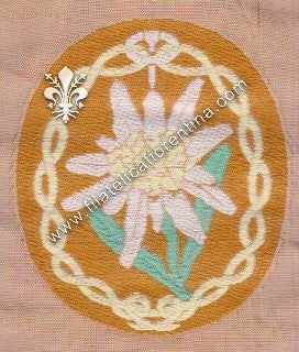 Distintivo da bracco . Truppe alpine - fondo color khaki