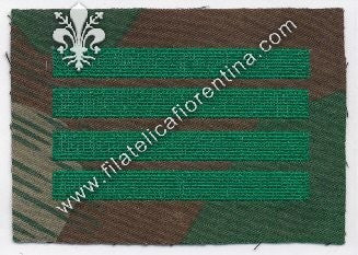 Grado da sottufficiale Maresciallo Maggiore SS " Hauptscharführer " - fondo mimetico, filo verde