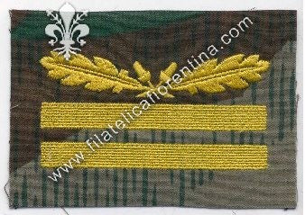 Grado da Gruppenführer e Generalleutnant SS - Capo del gruppo SS e luogotenente generale