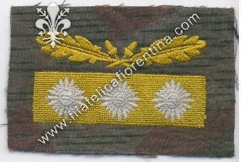 Grado da Generale d'Armata " Oberstgruppenführer " - fondo mimetico, filo giallo