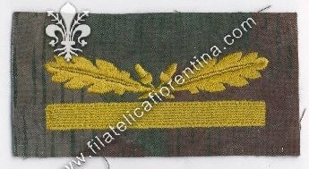 Grado da Capo Brigata - Maggiore Gen. SS " Brigadeführer " - fondo mimetico, filo giallo