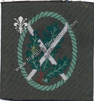 Distintivo da truppa Jager - specialità SCIATORI ( in seta )