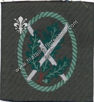 Distintivo da truppa Jager - specialità SCIATORI ( in seta )