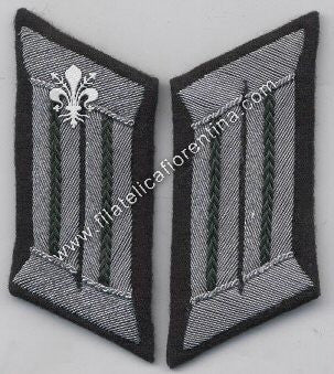 Mostrine Ufficiale Reparti Amministrativi - Waffenfarbe verde scuro