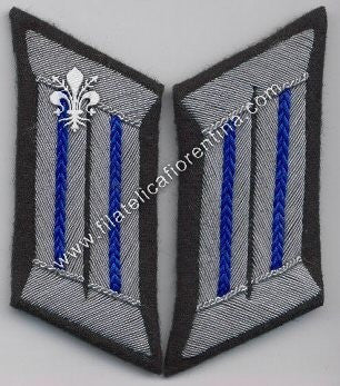 Mostrine Ufficiale Reparti Sanitari - Waffenfarbe blu