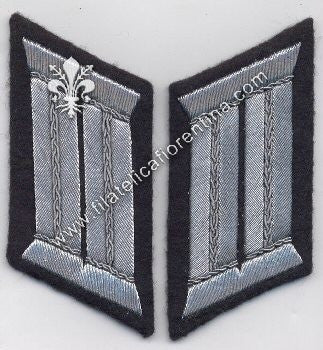 Mostrina da Ufficiale per waffenrock reparti di fanteria