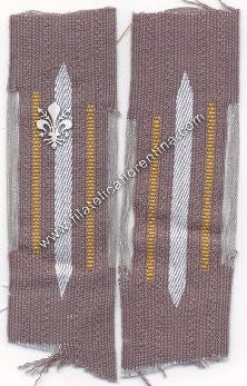 Mostrina reparti artiglieria costiera della Kriegsmarine