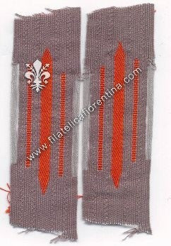 Mostrina reparti della Feldgendarmerie (waffenfarbe arancio)